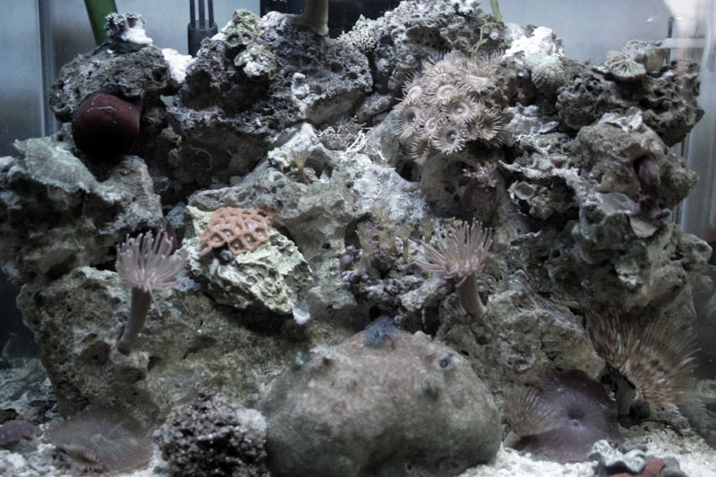 Killikus® Fotographie Killikus® Fotographie